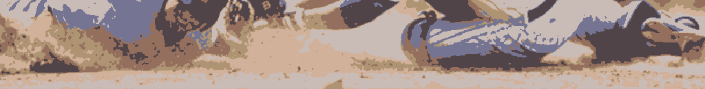 Pronia mlb-03.png