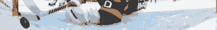 Pronia nhl-10.png