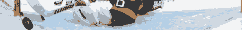 Pronia home-08.png