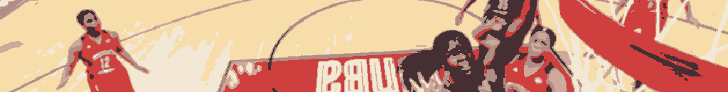 Pronia wnba-02.png